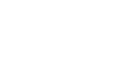 Drone Solutions Logo