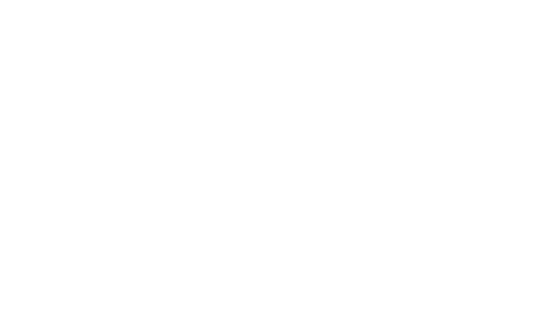 Near Earth Autonomy